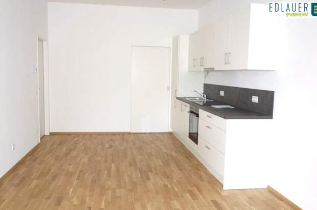 Terrassenwohnung mieten in 2500 Baden (Bild 3)