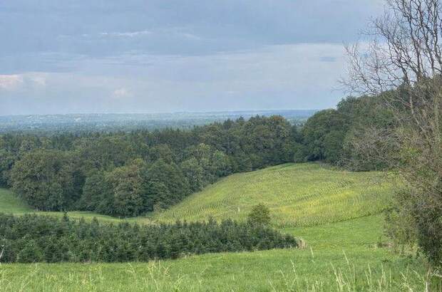 Grundstück kaufen in 8434 Maxlon (Bild 2)