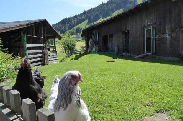 Bauernhaus kaufen in 5671 Bruck (Bild 3)