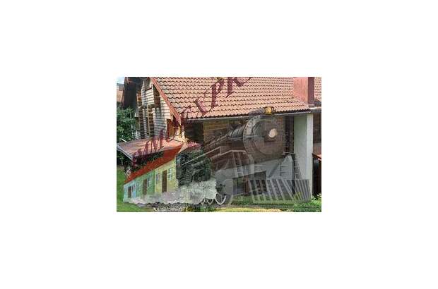 Haus kaufen in 4801 Traunkirchen (Bild 2)