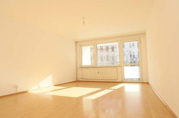 Terrassenwohnung mieten in 1080 Wien (Bild 2)