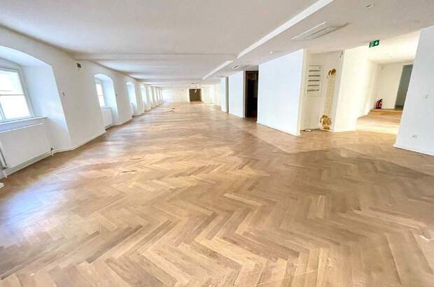 Gewerbeobjekt mieten in 1010 Wien (Bild 1)