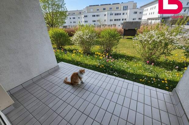 Wohnung mieten in 4210 Gallneukirchen (Bild 1)