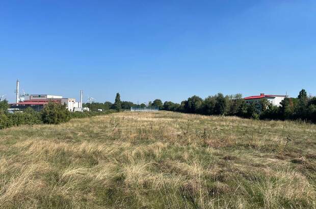 Gewerbeobjekt kaufen in 2521 Trumau (Bild 4)