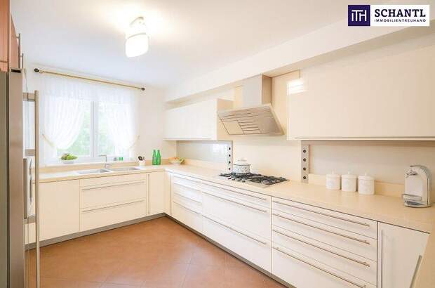 Einfamilienhaus kaufen in 1220 Wien (Bild 4)