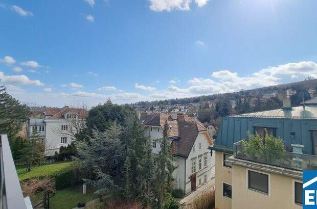 Terrassenwohnung kaufen in 1190 Wien (Bild 1)