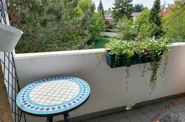 Terrassenwohnung kaufen in 2020 Hollabrunn (Bild 5)