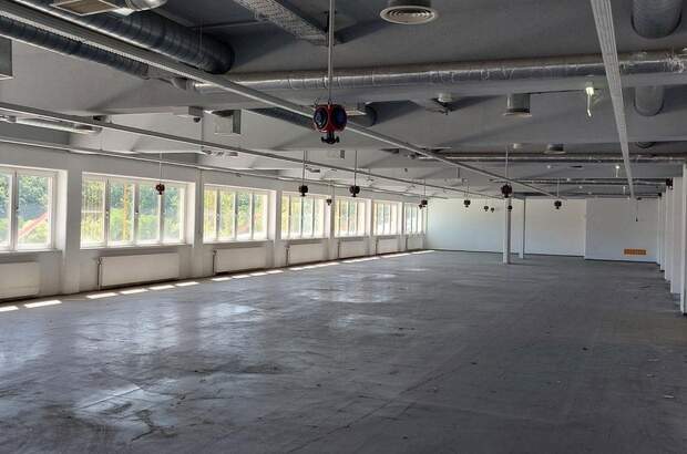 Gewerbeobjekt mieten in 2700 Wiener Neustadt (Bild 3)