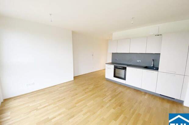 Terrassenwohnung mieten in 1110 Wien (Bild 1)