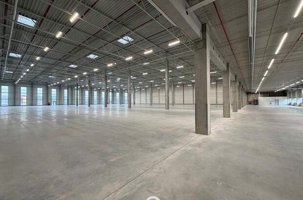 Gewerbeobjekt mieten in 4470 Enns (Bild 1)