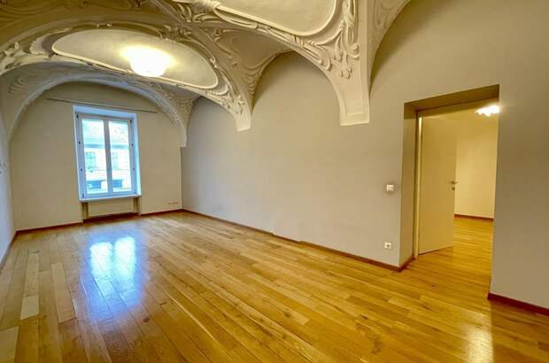 Gewerbeobjekt mieten in 2380 Perchtoldsdorf (Bild 4)