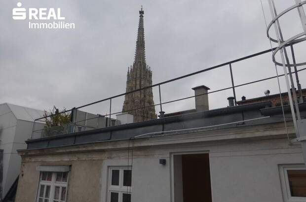 Terrassenwohnung mieten in 1010 Wien (Bild 3)