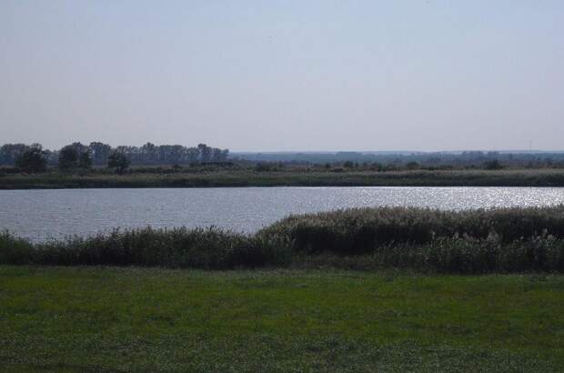 Grundstück kaufen in 9434 Fertöulak (Bild 1)