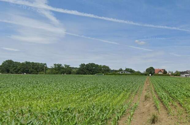 Haus kaufen in 8483 Deutsch Goritz (Bild 5)