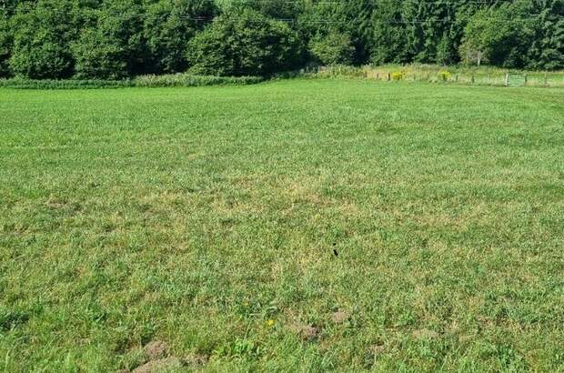 Grundstück kaufen in 9560 Adriach (Bild 1)