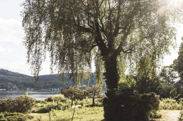 Eigentumswohnung in 9201 Krumpendorf (Bild 4)