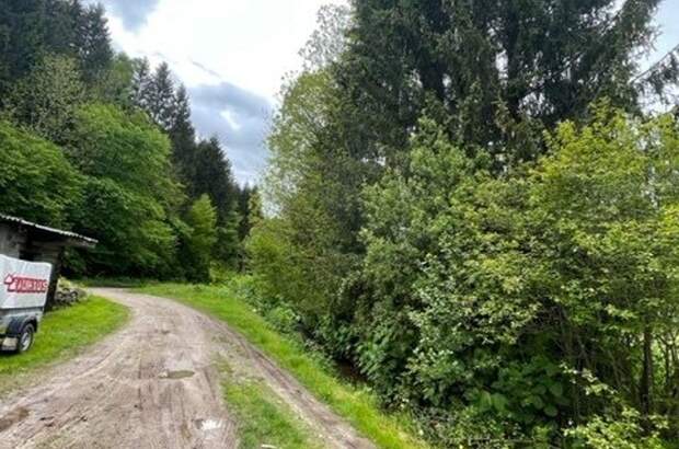 Grundstück kaufen in 9601 Hohenthurn (Bild 3)