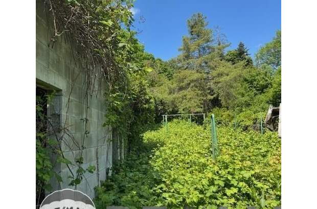 Grundstück kaufen in 2500 Baden (Bild 1)