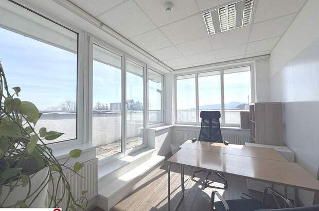 Gewerbeobjekt mieten in 2340 Mödling (Bild 4)