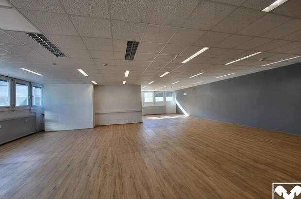 Gewerbeobjekt mieten in 4050 Traun (Bild 2)
