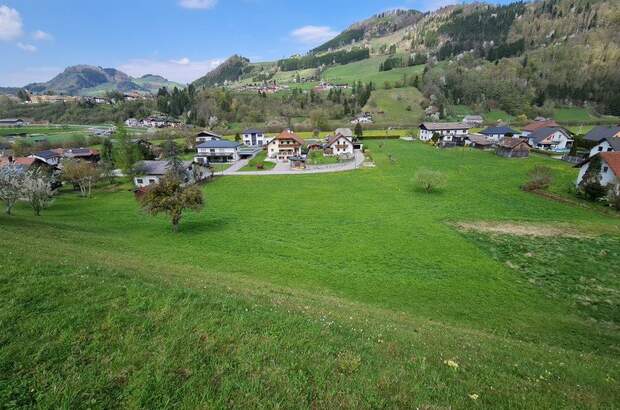 Grundstück kaufen in 4463 Großraming (Bild 1)