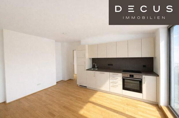 Terrassenwohnung mieten in 1020 Wien (Bild 2)