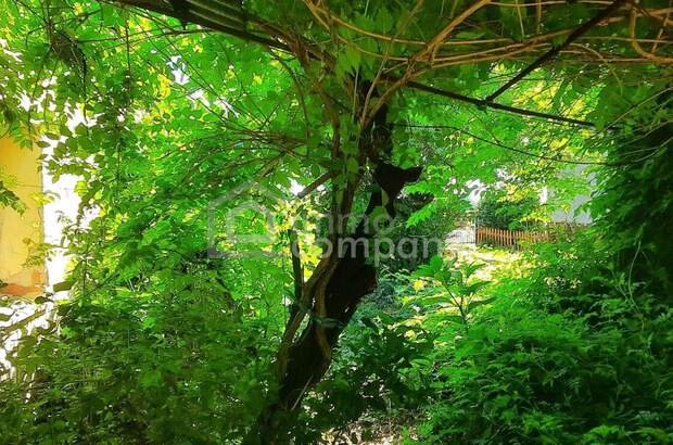 Haus kaufen in 9363 Gyóró (Bild 5)