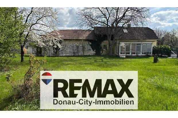 Einfamilienhaus kaufen in 2351 Wr. Neudorf (Bild 2)