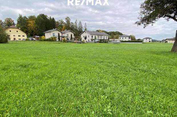 Grundstück kaufen in 4851 Gampern (Bild 2)