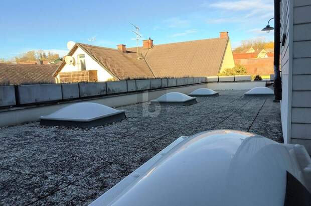 Haus kaufen in 2145 Hausbrunn (Bild 5)