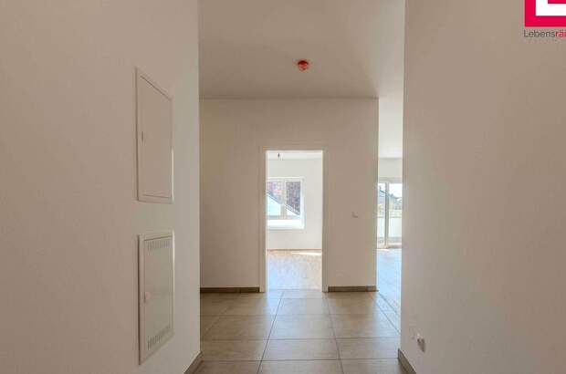 Wohnung kaufen in 4284 Tragwein (Bild 4)