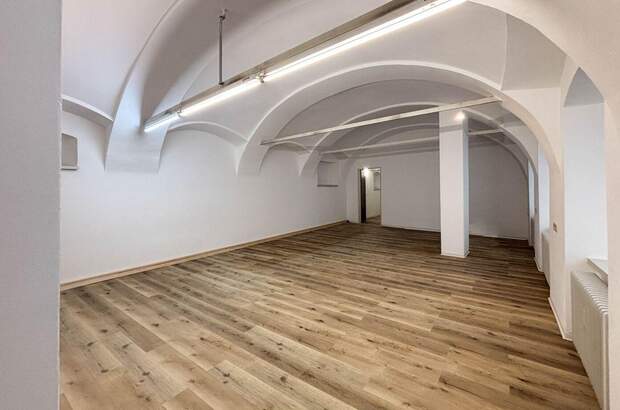 Gewerbeobjekt mieten in 4150 Rohrbach (Bild 5)