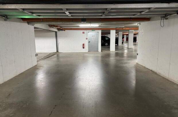 Halle / Lager / Produktion mieten in 2500 Baden (Bild 4)