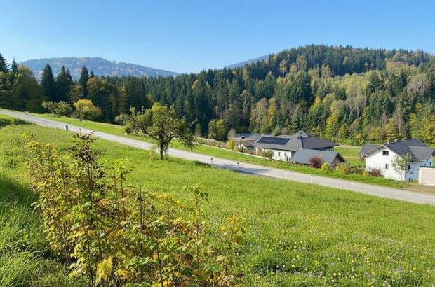 Grundstück kaufen in 4656 Kirchham (Bild 5)