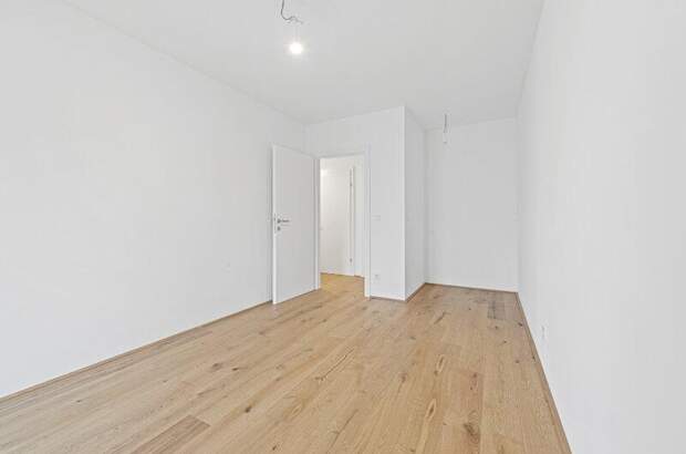 Terrassenwohnung kaufen in 2540 Bad Vöslau (Bild 3)