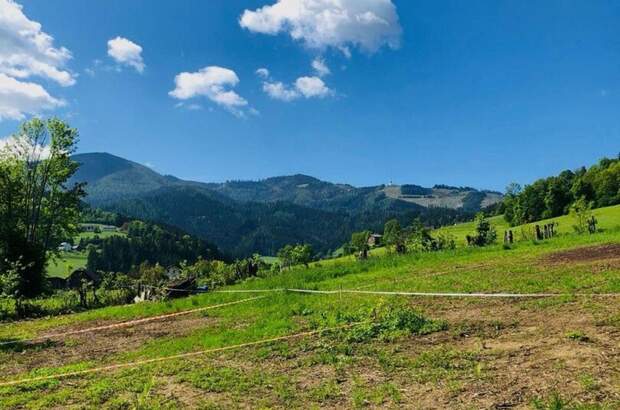 Grundstück kaufen in 8600 Oberaich (Bild 5)