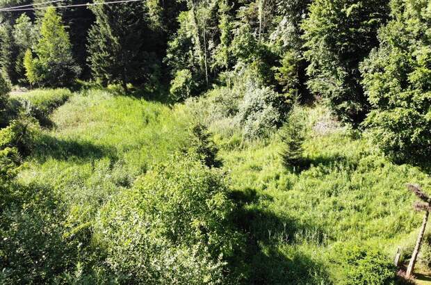 Grundstück kaufen in 8132 Pernegg (Bild 3)