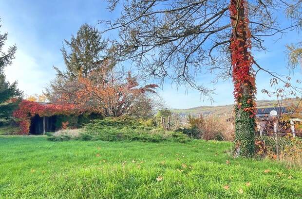 Grundstück kaufen in 3400 Weidling (Bild 3)