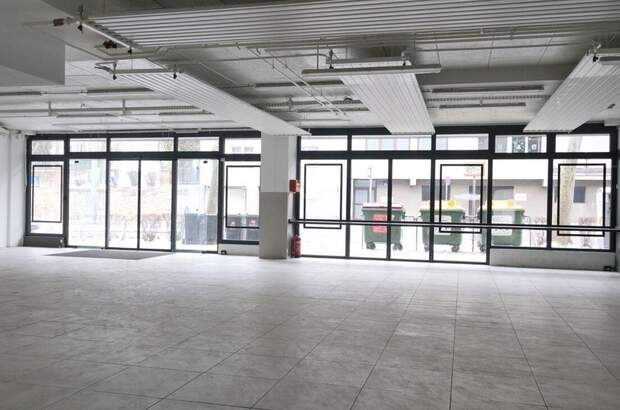 Gewerbeobjekt mieten in 1130 Wien (Bild 4)