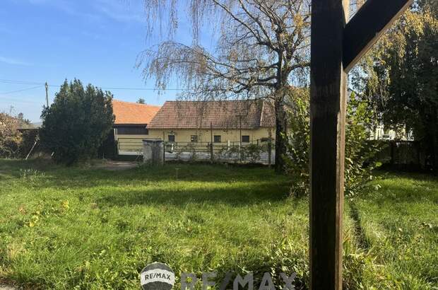 Grundstück kaufen in 3434 Katzelsdorf (Bild 1)