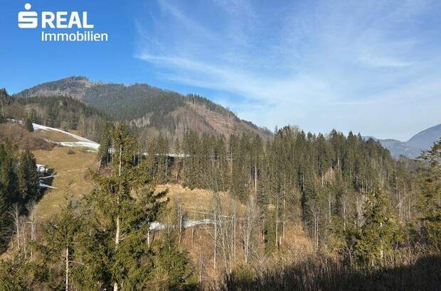 Terrassenwohnung kaufen in 8933 St. Gallen (Bild 5)