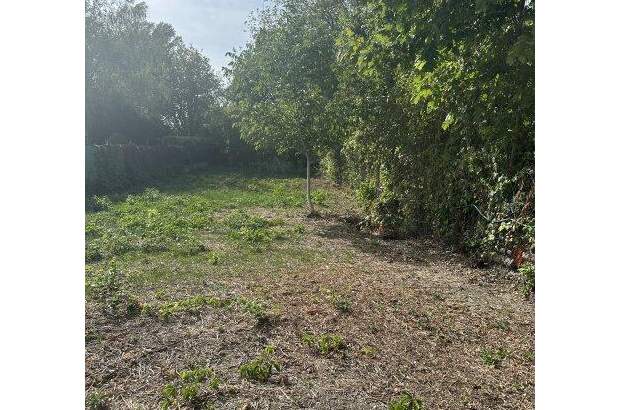 Grundstück kaufen in 2491 Neufeld (Bild 1)