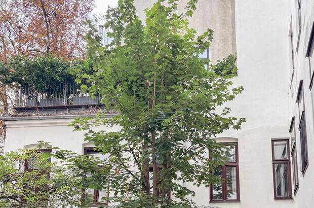 Altbauwohnung kaufen in 1050 Wien (Bild 5)