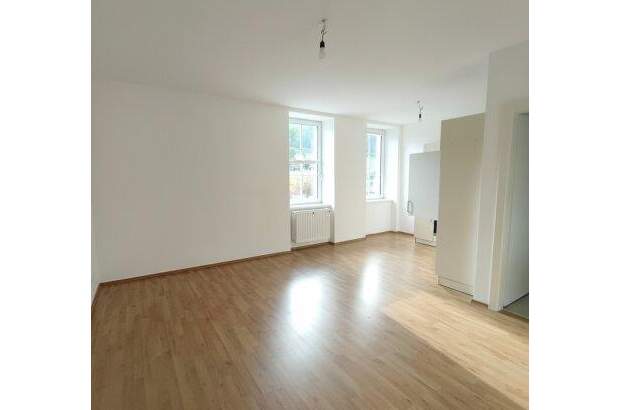 Wohnung mieten in 2565 Neuhaus (Bild 2)
