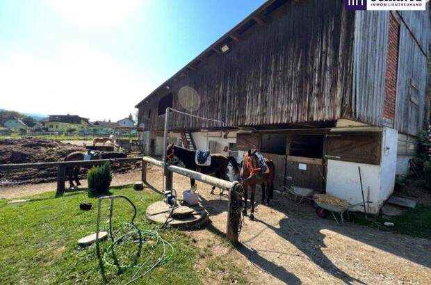 Immobilie kaufen in 8570 Voitsberg (Bild 4)