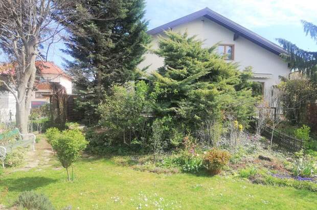 Haus mieten in 2100 Korneuburg (Bild 4)