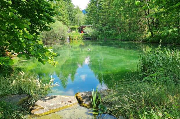 Terrassenwohnung kaufen in 3341 Ybbsitz (Bild 2)