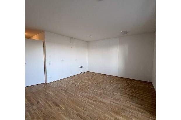 Terrassenwohnung mieten in 1220 Wien (Bild 4)