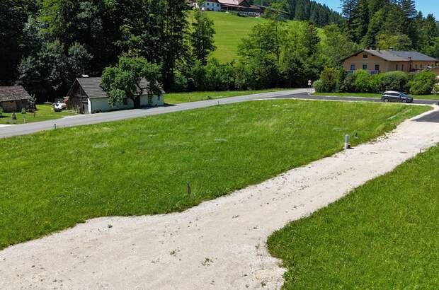 Grundstück kaufen in 3263 Randegg (Bild 4)