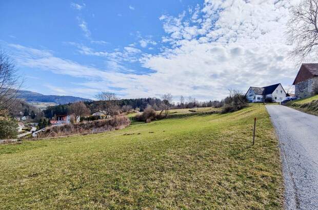 Grundstück kaufen in 8101 Gratkorn (Bild 4)